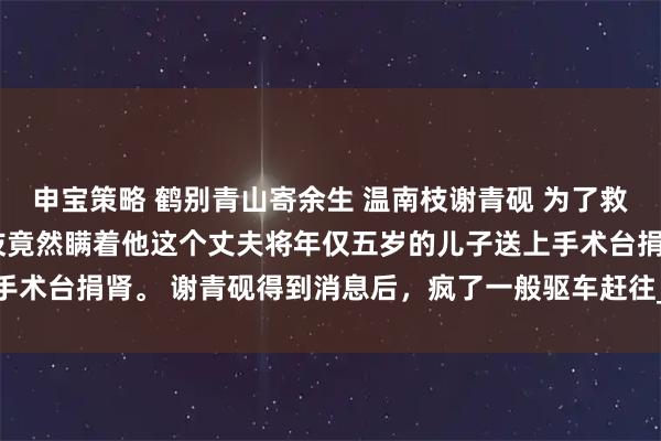 申宝策略 鹤别青山寄余生 温南枝谢青砚 为了救肾衰竭的私生女，温南枝竟然瞒着他这个丈夫将年仅五岁的儿子送上手术台捐肾。 谢青砚得到消息后，疯了一般驱车赶往_小烨_孩子_阿砚