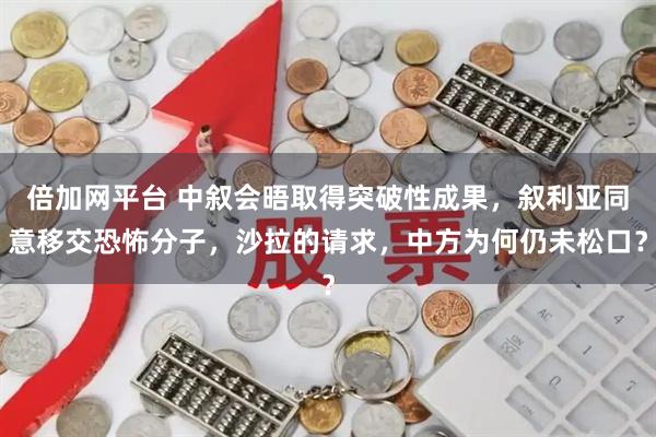 倍加网平台 中叙会晤取得突破性成果，叙利亚同意移交恐怖分子，沙拉的请求，中方为何仍未松口？