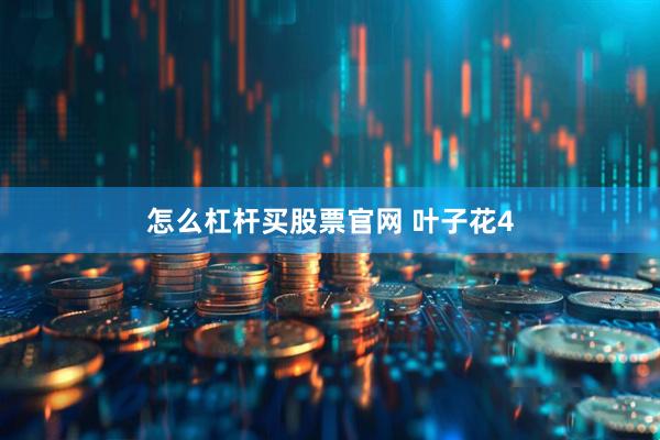 怎么杠杆买股票官网 叶子花4