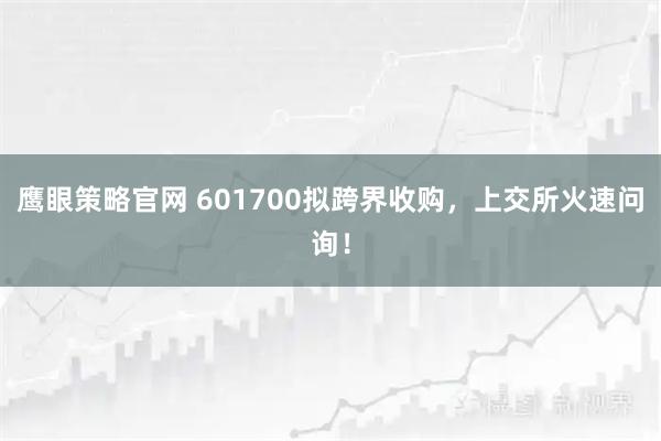 鹰眼策略官网 601700拟跨界收购，上交所火速问询！